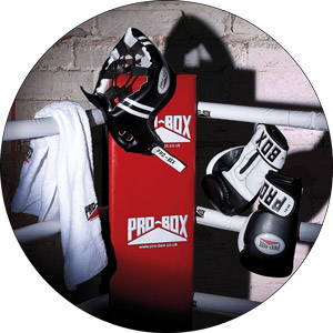 Read more about the article Best Boxing Equipment Brands