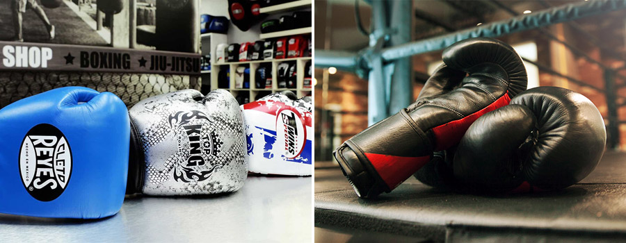 Brands of Boxing Gloves
