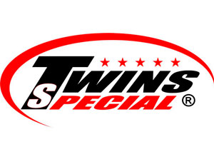 Twins Gloves logo