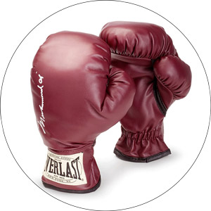 Read more about the article Best Youth Boxing Gloves 2022