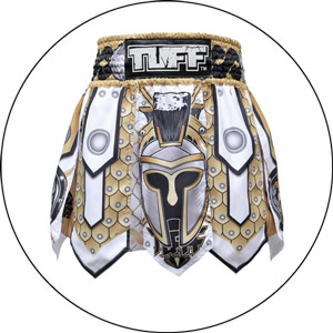 Read more about the article Best Muay Thai Shorts 2022