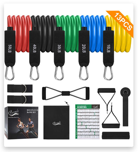 Recredo Resistance Bands Set