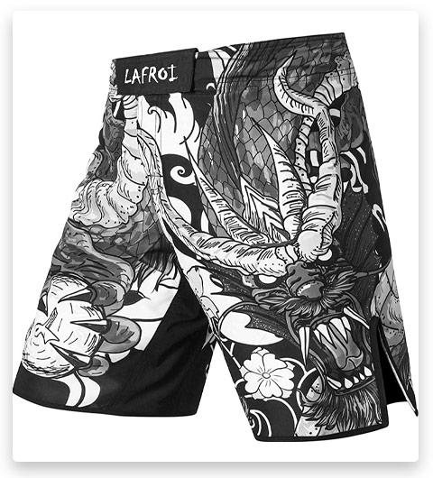 LAFROI Mens MMA Shorts