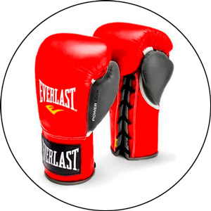 Read more about the article Everlast Pro Fight Gloves 2022