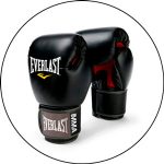 Everlast MMA Gloves 2022