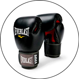 Read more about the article Everlast MMA Gloves 2022