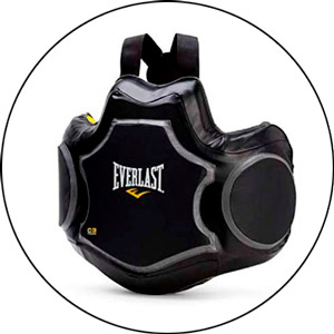 Read more about the article Everlast Boxing Headgear 2022