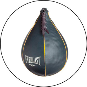 Read more about the article Everlast Punching Bag 2022