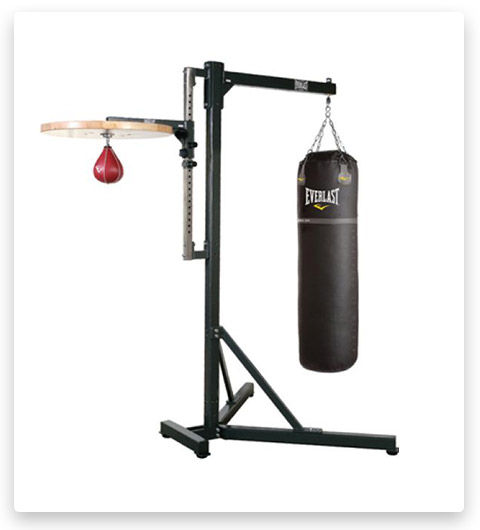 Pro 2-Station Gym